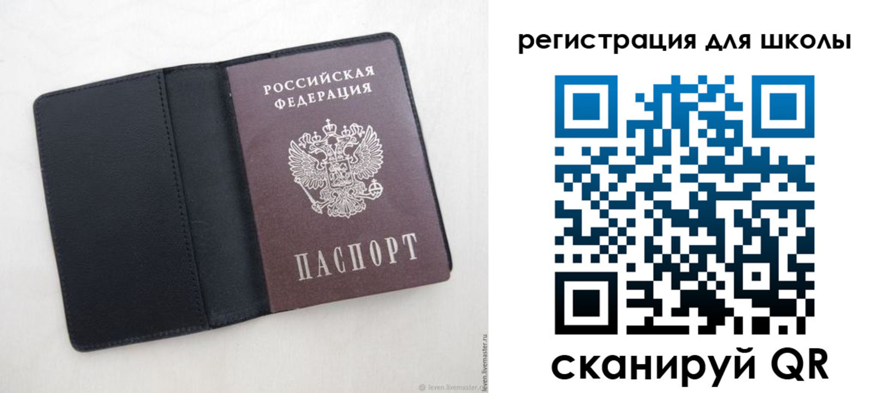 прописка от собственника в Мончегорске